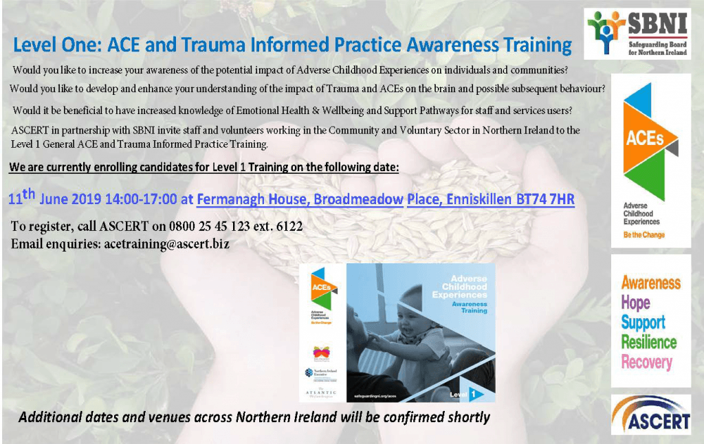 11th June Ace Awareness Training